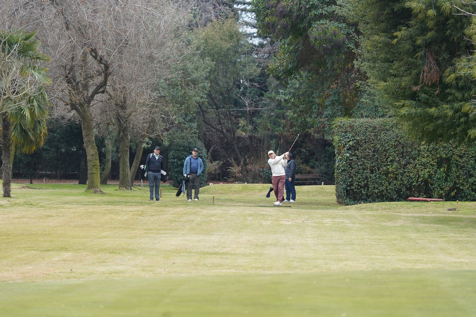 Torneo 39 - Birdie Club