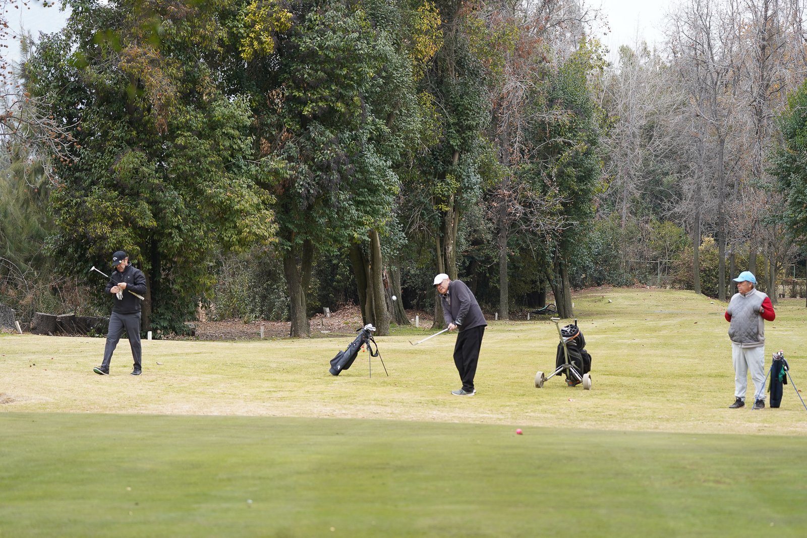 Torneo 39 - Birdie Club