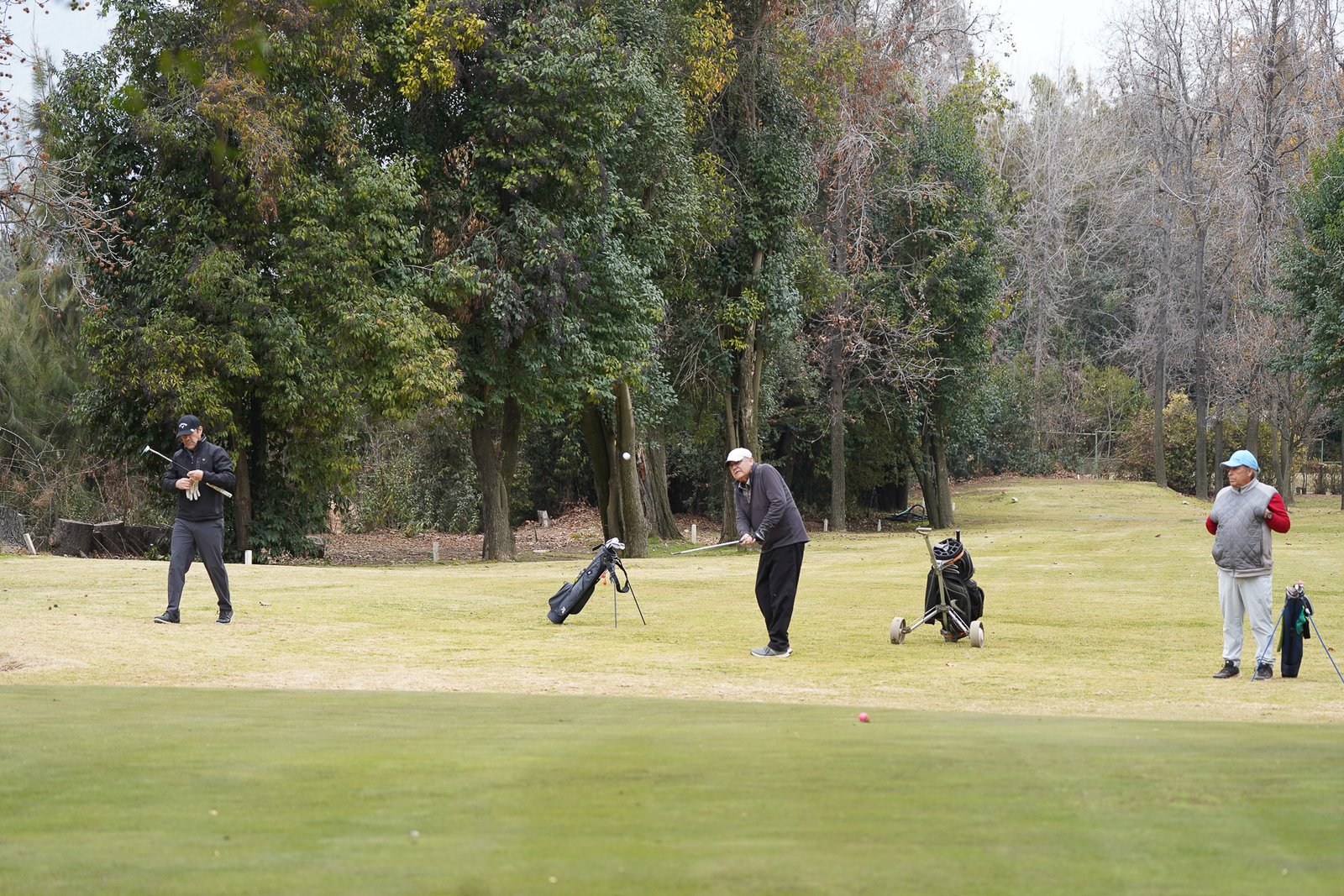 Torneo 39 - Birdie Club